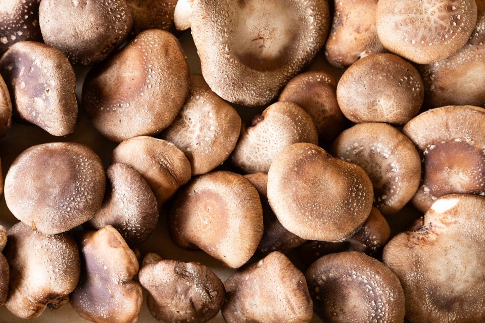 Fungos da Castiñeira - Setas Shiitake frescas ecológicas